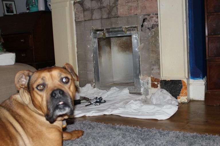*UPDATED* How to make a dog bed in a fireplace • Turning a House into a Home
