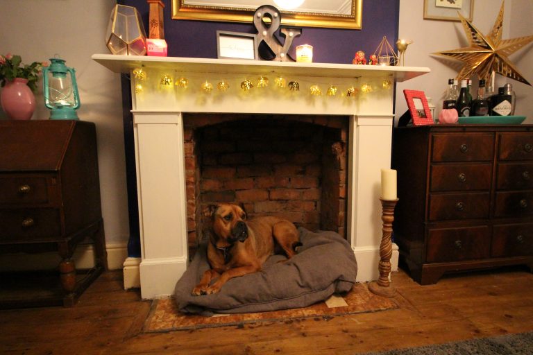 *UPDATED* How to make a dog bed in a fireplace • Turning a House into a Home